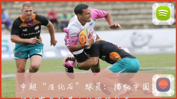 中超“活化石”球员：揭秘中国顶级联赛年龄最大的现役传奇