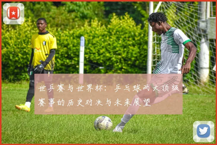 世乒赛与世界杯:乒乓球两大顶级赛事的历史对决与未来展望
