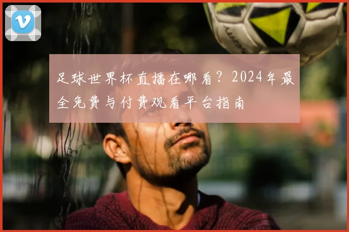 足球世界杯直播在哪看?2024年最全免费与付费观看平台指南