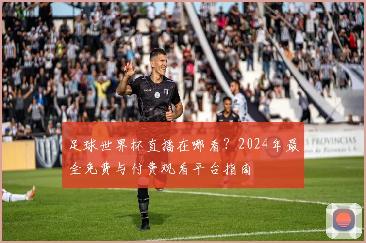 足球世界杯直播在哪看？2024年最全免费与付费观看平台指南